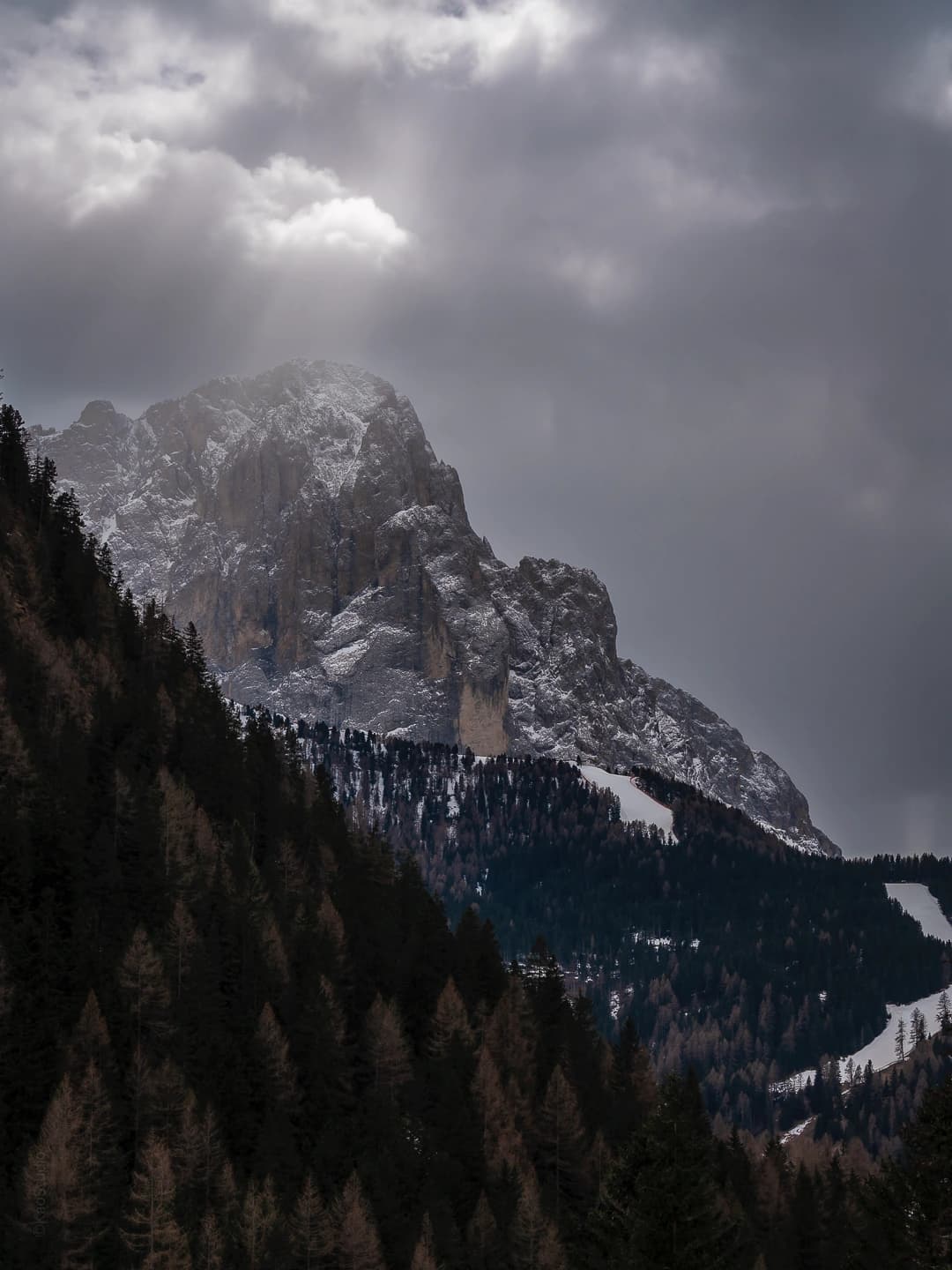 Galerie Photos